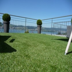 Artificial Grass Surface in Newtown 4