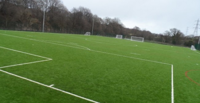 Reinforced Natural Grass in Upton