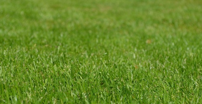 Artificial Grass Nursery Surfaces in Ballyhornan
